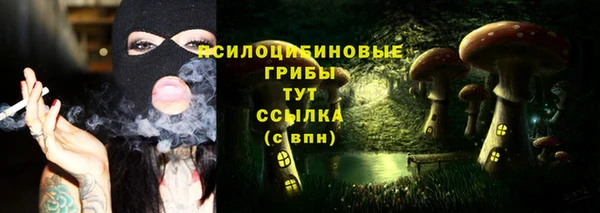 индика Балахна