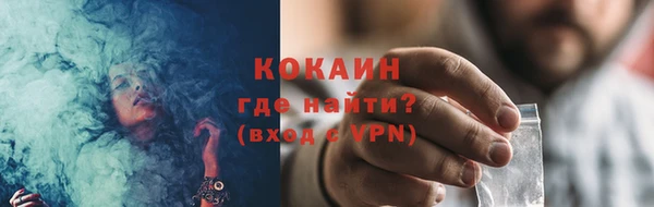 индика Балахна
