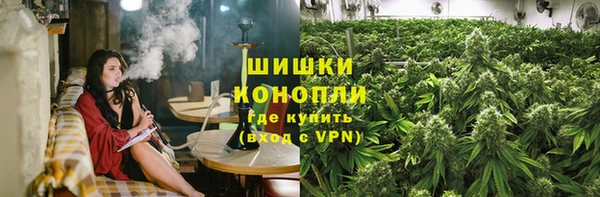 дмт Арсеньев