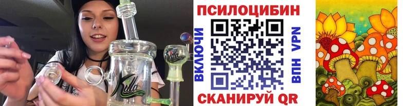 Псилоцибиновые грибы Cubensis  хочу наркоту  Нея 